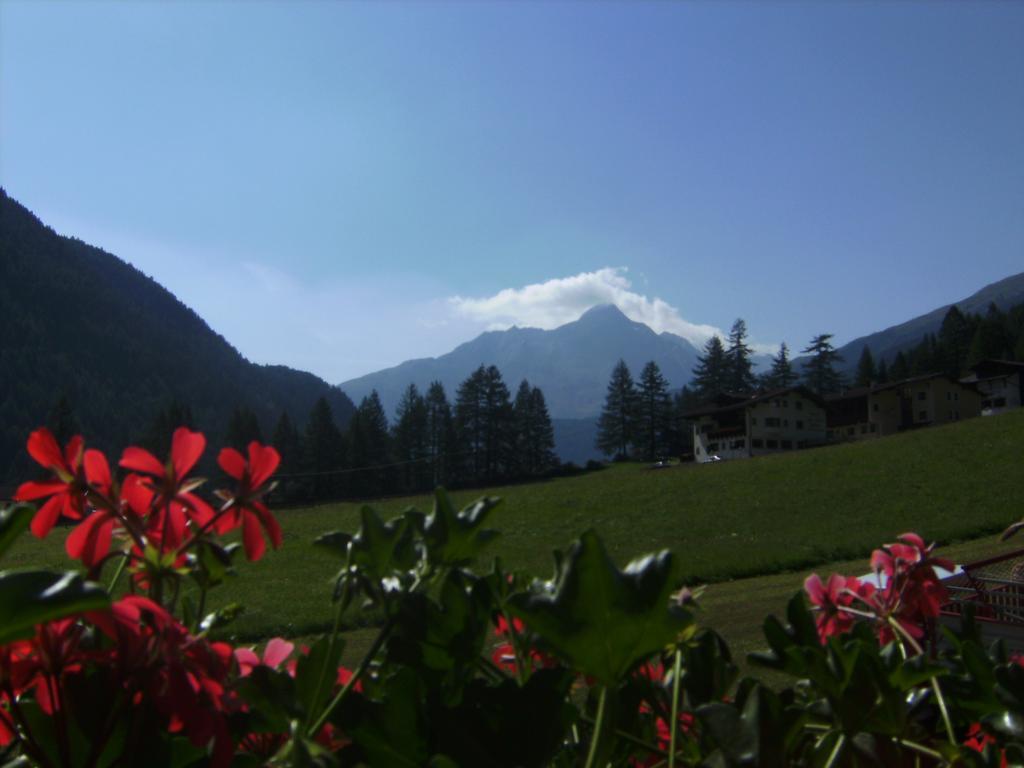 Alois Arnold Soelden Daire Oda fotoğraf